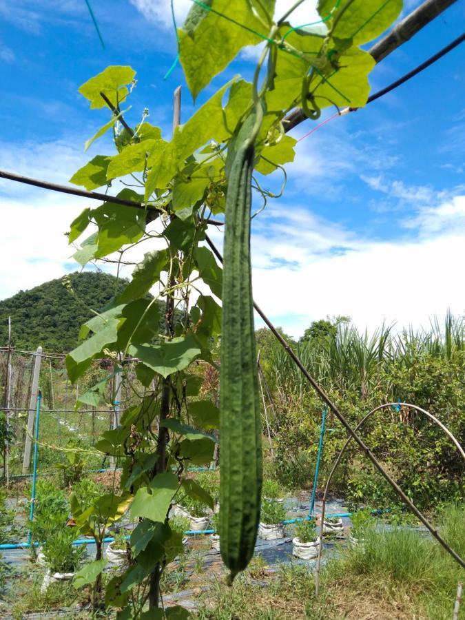 Willa Royal Mountain View Ratchaburi Zewnętrze zdjęcie